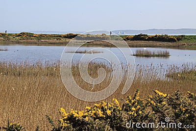Keyhaven salt marshes in the Spring Stock Photo