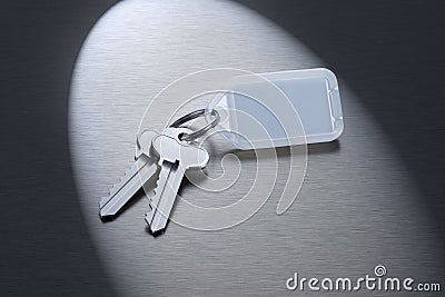 Keys on a Blank Keyring Stock Photo