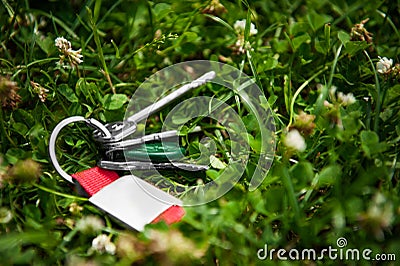 Keys on green grass outdoors. Lost and found Stock Photo