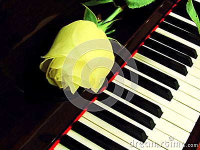 Piano keys whith rose Stock Photo