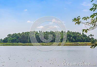 Kham Chanot forest island, Udon Thani Province Thailand Stock Photo