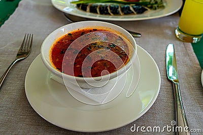 Kharcho - traditional Georgian soup Stock Photo