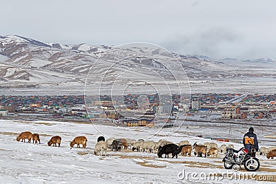 Shepherd and his herd of sheep in the hills Editorial Stock Photo