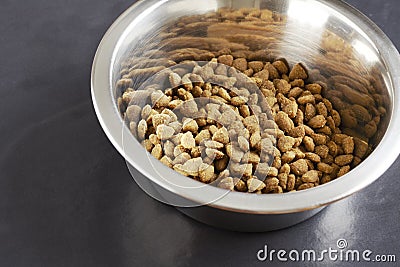 Kibble dog or cat food in bowl Stock Photo