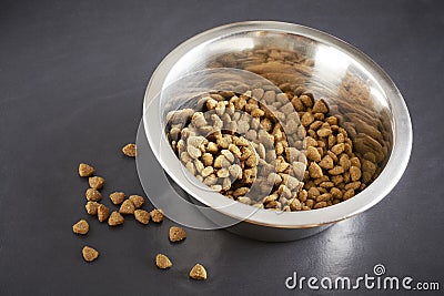 Kibble dog or cat food in bowl Stock Photo