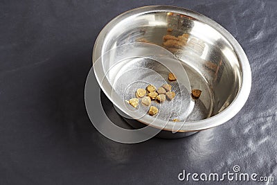 Kibble dog or cat food in bowl Stock Photo