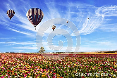 Kibbutz in the south of Israel Stock Photo