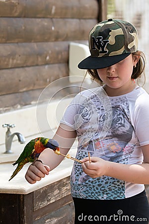 Parrot Lori - Loriinae - sits on the arm of the girl and eats an apple at the Gan Guru Zoo in Kibbutz Nir David in Israel Editorial Stock Photo