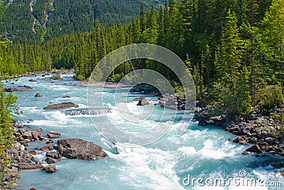 Kicking horse river Stock Photo