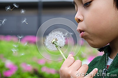 Kid boy blowing dandelions Stock Photo