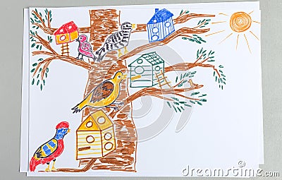 Kid drawing of tree with lots of different birds and nesting boxes Stock Photo