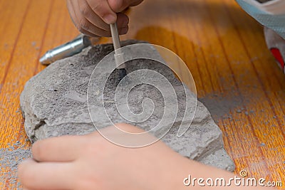 Kid excavating animal bones Stock Photo