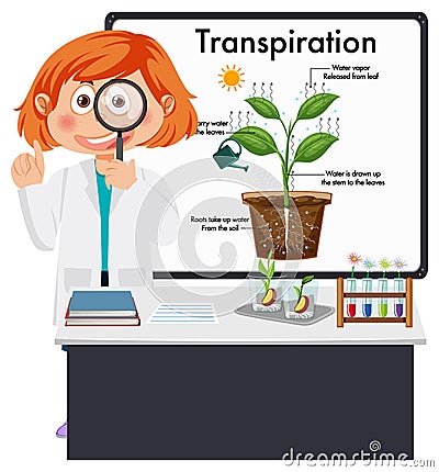 Kid explaining plant transpiration Vector Illustration