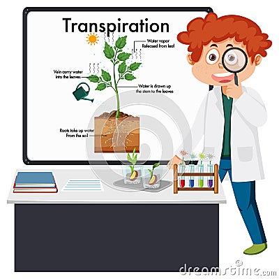 Kid explaining plant transpiration Vector Illustration