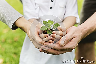 Kid Gardening Greenery Growing Leisure Stock Photo