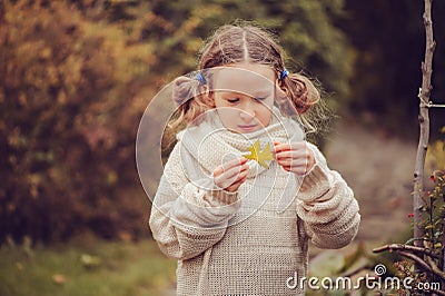 Kid girl walking in the garden in late october or november and playing with maple leaf. Children exploring nature Stock Photo
