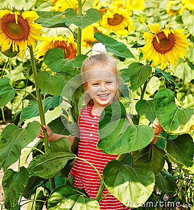 Kid holding sunflower outdoor. Stock Photo