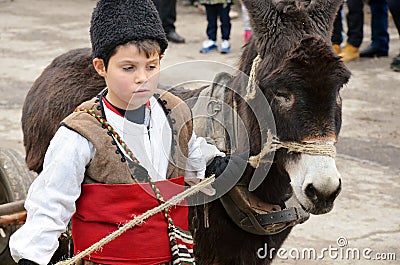 Kid leading donkey Editorial Stock Photo