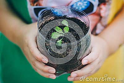 Kid planting vegetable sprout in a recycled plastic reused bottle. Concept for grow your own food at home for sustainable living. Stock Photo