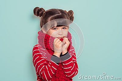 Child portrait of a 6 year old brunette, blue eyes, funny hairstyle wearing a red scarf and sweater, Stock Photo