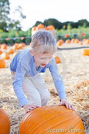 Kid at pumpkin patch Stock Photo