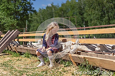 kid sitting on fence at farm and looking Stock Photo