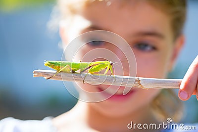 Kid small girl looking praying mantis Stock Photo