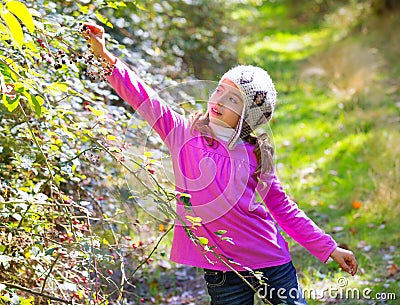 Kid winter girl picking mulberry berries in the forest Stock Photo