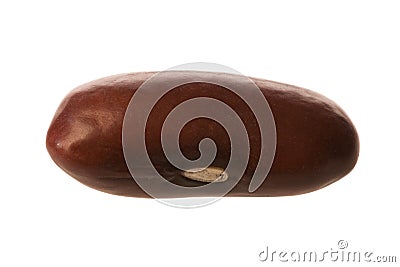 Kidney Bean Macro Stock Photo