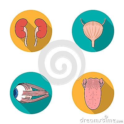 Kidney, bladder, eyeball, tongue. Human organs set collection icons in flat style vector symbol stock illustration web. Vector Illustration