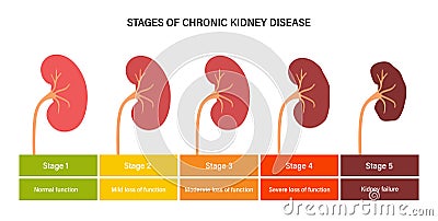 Kidney disease concept Vector Illustration