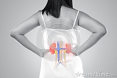 Kidney disease and Kidney Stock Photo