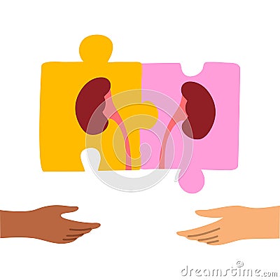 Kidney donation symbol illustration in form of puzzle pieces. Vector illustration in flat cartoon style. Vector Illustration