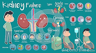 Kidney Failure infographic Vector Illustration