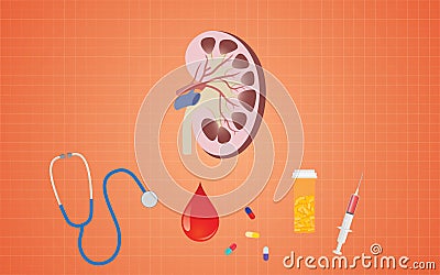 Kidney health with medicine tools like pills stethoscope blood syringe Vector Illustration