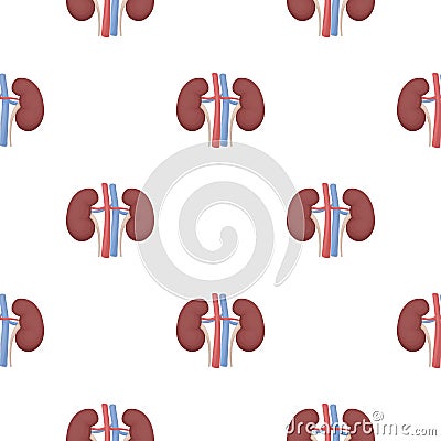 Kidney icon in cartoon style isolated on white background. Organs pattern stock vector illustration. Vector Illustration