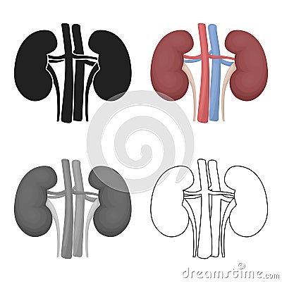 Kidney icon in cartoon style isolated on white background. Organs symbol stock vector illustration. Vector Illustration