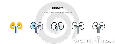 Kidney icon in different style vector illustration. two colored and black kidney vector icons designed in filled, outline, line Vector Illustration