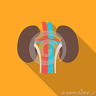 Kidney icon in flat style isolated on white background. Organs symbol stock vector illustration. Vector Illustration