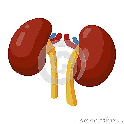 Kidney icon, health and human medical care Vector Illustration