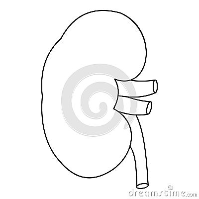 Kidney icon, outline style Vector Illustration