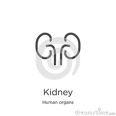 kidney icon vector from human organs collection. Thin line kidney outline icon vector illustration. Outline, thin line kidney icon Vector Illustration