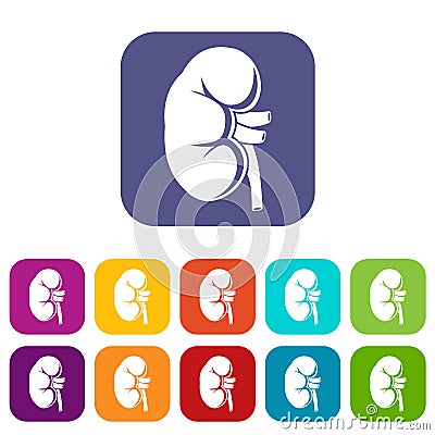 Kidney icons set Vector Illustration