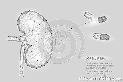 Kidney internal organ men 3d low poly geometric model. Urology system medicine disease treatment drug capsule. Future Vector Illustration