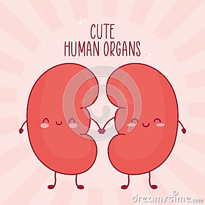 kidney and lettering Vector Illustration