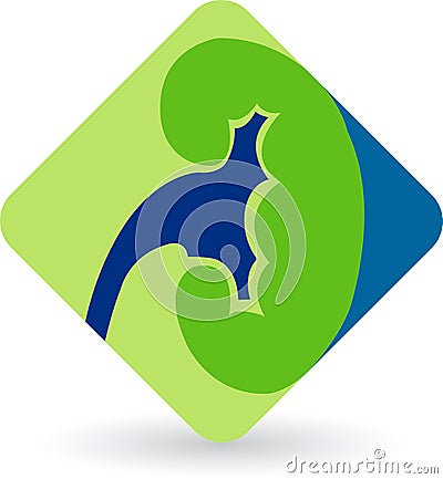 Kidney logo Vector Illustration