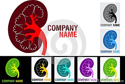 Kidney logo Vector Illustration