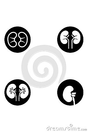 Kidney logo design Vector Illustration