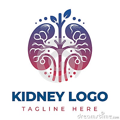 Kidney Logo Template Design Vector illustration, Urology Logo Stock Vector, Healthcare human kidney organ concept. Vector Illustration