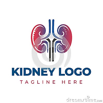 Kidney Logo Template Design Vector illustration, Urology Logo Stock Vector, Healthcare human kidney organ concept. Vector Illustration